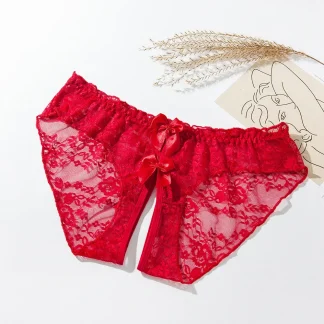 Floral Sheer Lace Panties with Bow Decor