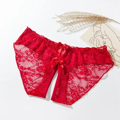 Floral Sheer Lace Panties with Bow Decor